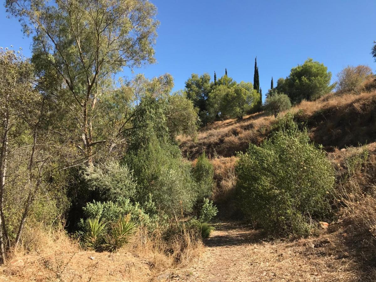 Studio Views Apartment, Cortijo Fruitful Hills 말라가 외부 사진